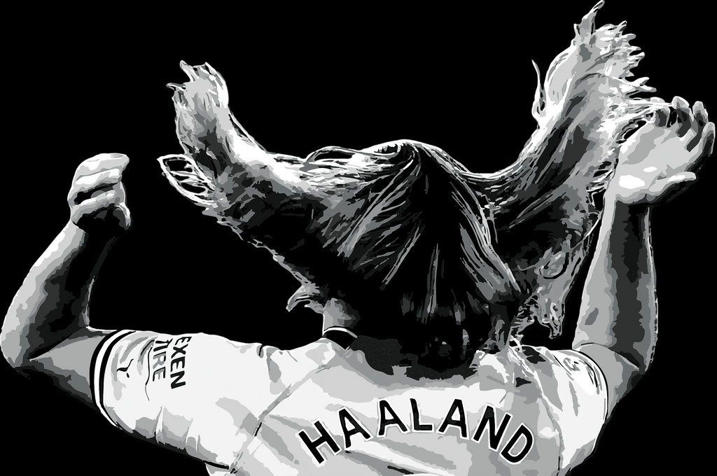 Haaland Hair Flip