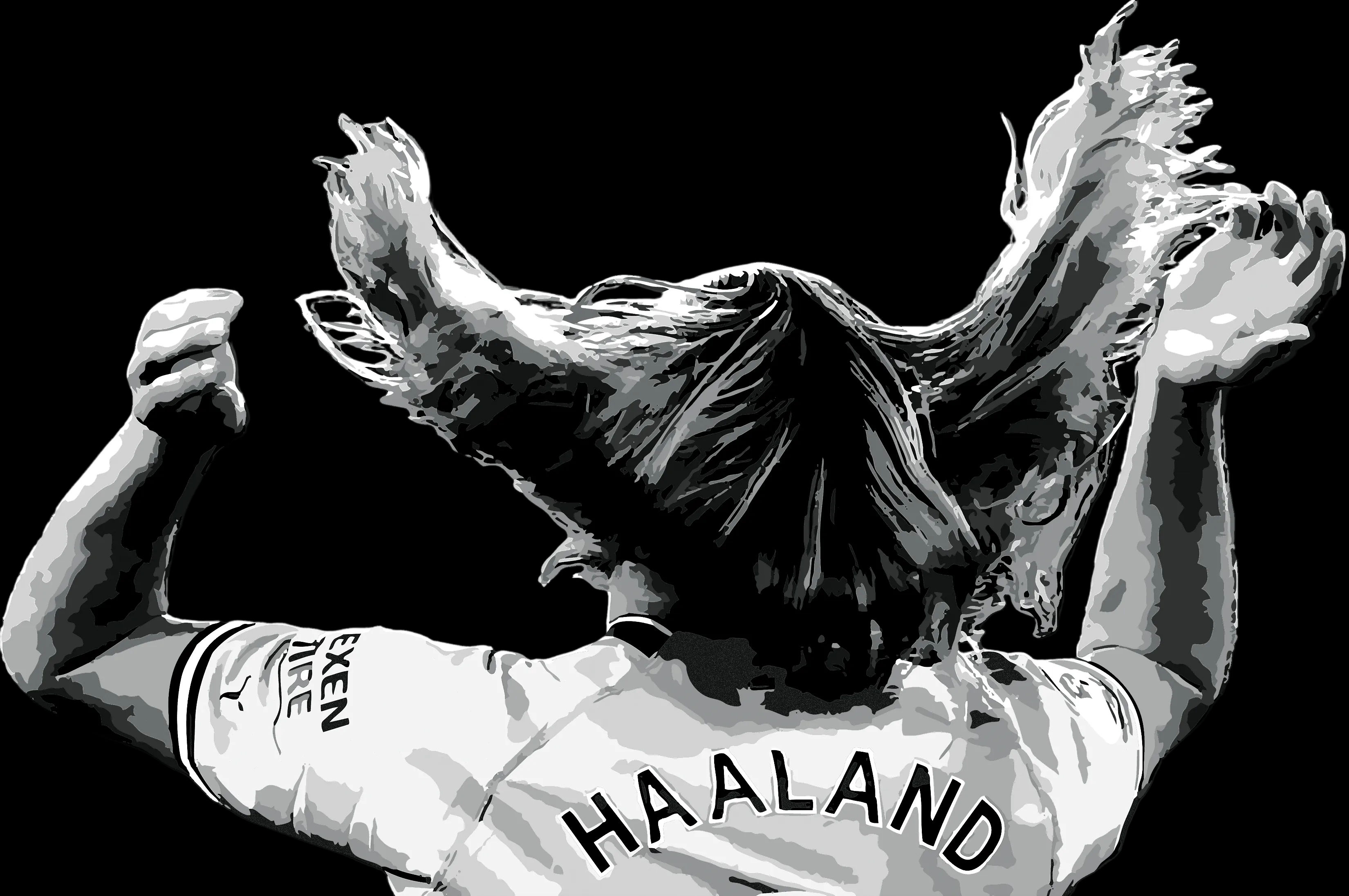 Haaland Hair Flip